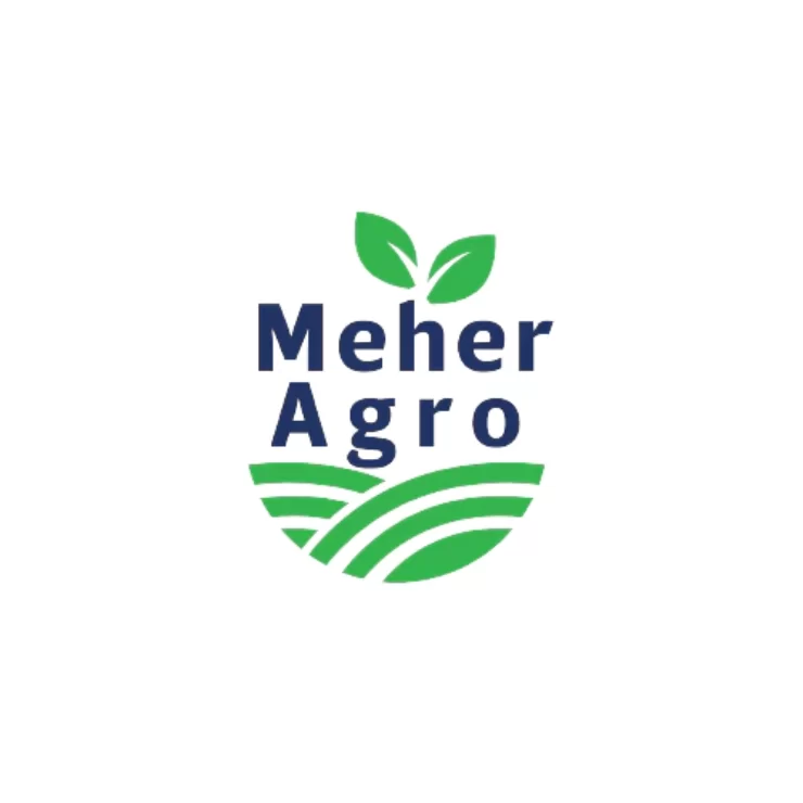 "Maher Agro - Agro Firm Logo and Pattern Feature Image"